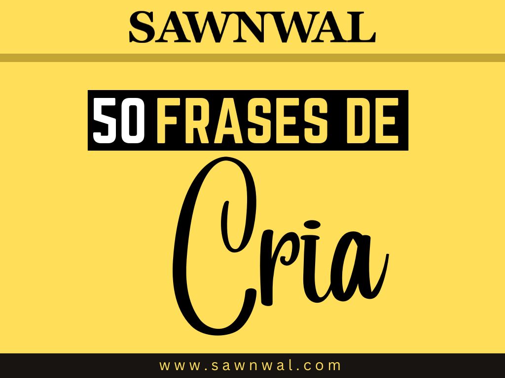 50 Frases de Criação: